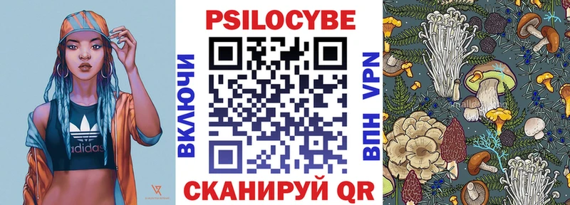 blacksprut зеркало  Приморск  Галлюциногенные грибы мухоморы 