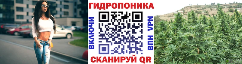 Бошки Шишки Bruce Banner Приморск